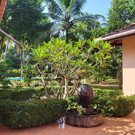 King Coconut Lodge Habaraduwa Central Exterior photo