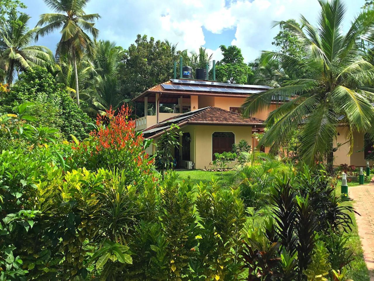 King Coconut Lodge Habaraduwa Central Exterior photo